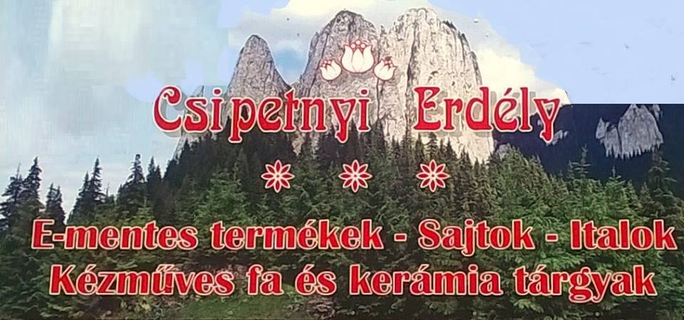 Csipetnyi Erdély, Gárdony Szabadság úti pavilonsor 2369/8/B Csipetnyi Erdély, Gárdony Szabadság úti pavilonsor 2369/8/B