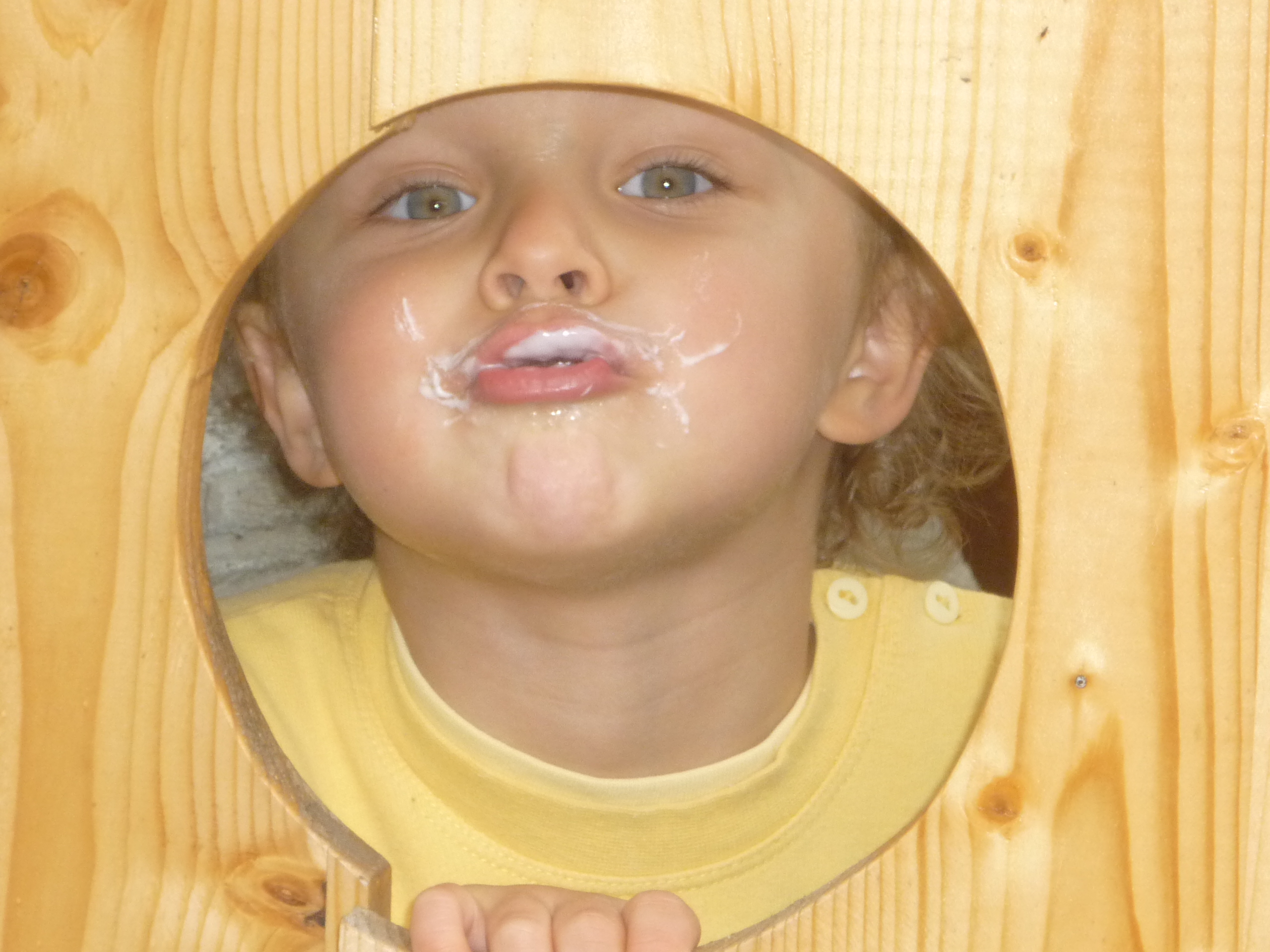 erdélyi joghurt